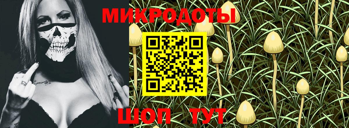 Псилоцибиновые грибы Psilocybe  Вход с VPN  Воткинск 